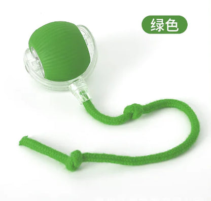 Cat Toys (One Piece)